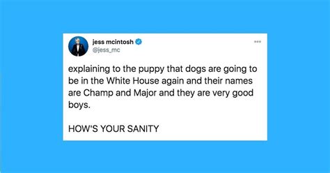 funniest cat and dog tweets this week|huffpost pet tweets this week.